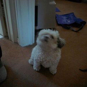 Meet your Posher, Eileen